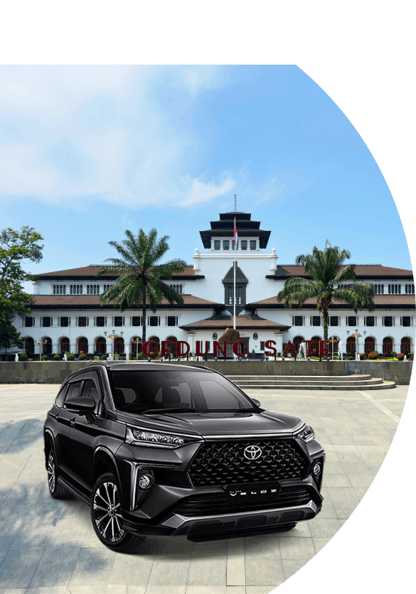 company profile our services